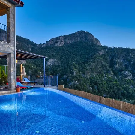 Villa Pine *